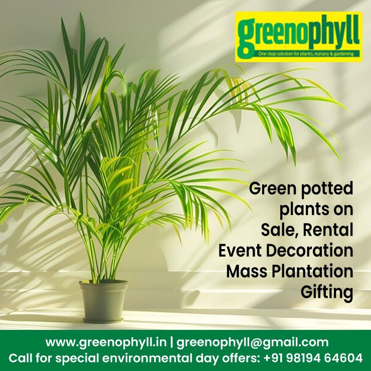 Greenophyll